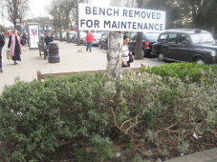 bench removed for maintenance